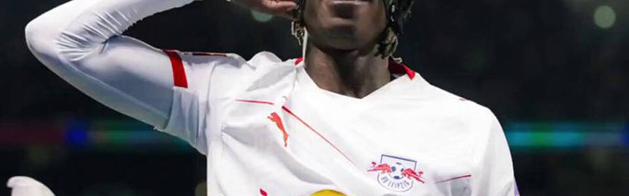 曼联冬窗两潜在引援位置确定！一人标价1亿，阿莫林恐只有最已阵