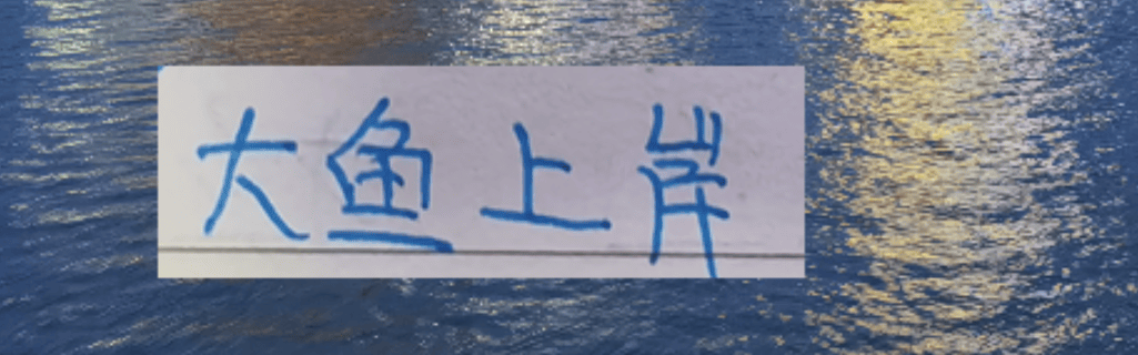 后面中超大鱼！北京国安可能有德甲中后卫 大连英博有意甲中场