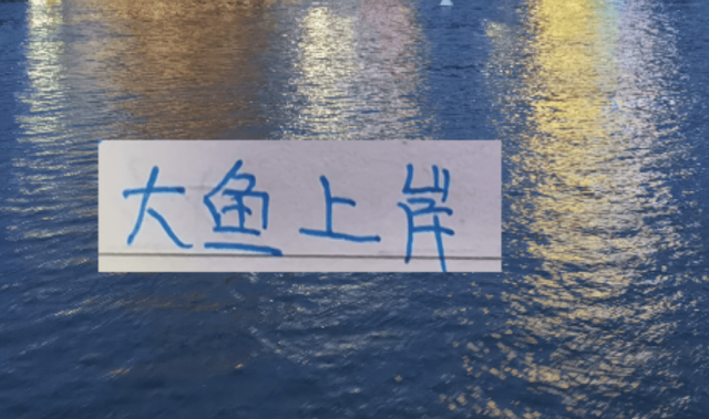 后面中超大鱼！北京国安可能有德甲中后卫 大连英博有意甲中场