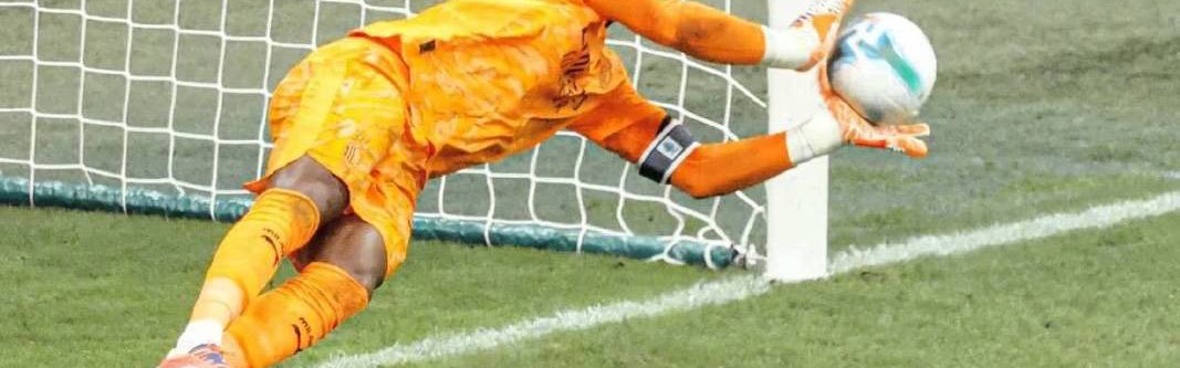 意甲知名媒体人：米兰门将迈尼昂已表现出续约意向，主要得益于阿莱格里和塔雷